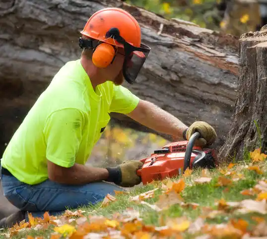 tree services Syosset